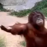 original sound - yeassscccc