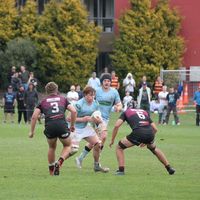 jd_rugby