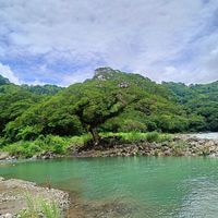 original sound - your_artemis5