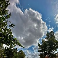 Avtoxuliqanlar Özünü apara bilməyənlər