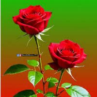 original sound - ꧁<•(H)☆Hairu☆🌹🌹💐💐☆•>꧂