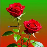 original sound - h.hairu.7.start