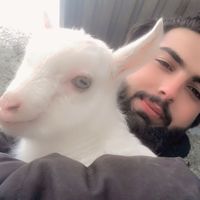 hamalaw2303