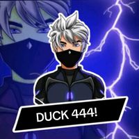 _duck444