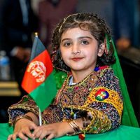 amd.afg