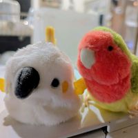 daga_0807