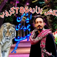 original sound - asif.gujjar313