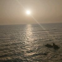 zahrabenhamou2
