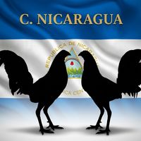 colacho_28_