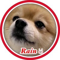 527rain