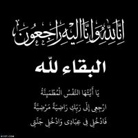 ali_________lo______