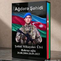 balam_ulvi