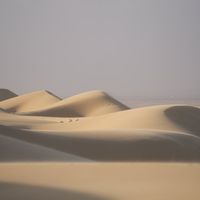 hassan___422