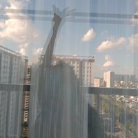 nhạc nền - Bối Tịch Hạ Chu 贝席夏珠