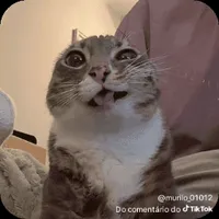 original sound - gustaxzz_04