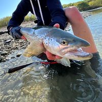 freshwaterfishing