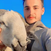 original sound - as999a8