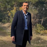 demir881