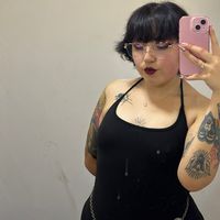 damisstikat