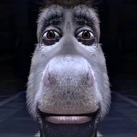 if u see this...aloha