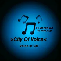 original sound - voice_of_gmk