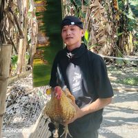 original sound - Jeboy Marcelo