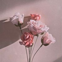 オリジナル楽曲 - ながちょれん