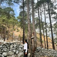 d.deepshikha
