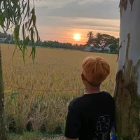 original sound - bobog7982