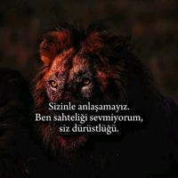 orijinal ses