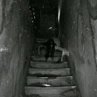 eter_nally