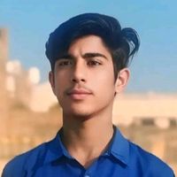 maliksharyar574