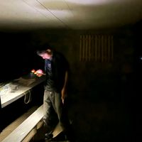 оригинальный звук