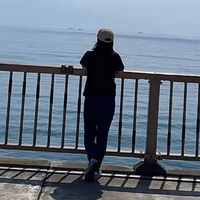 nanasan738