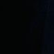 shayek_sami01