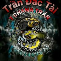 nhạc nền - sontay24
