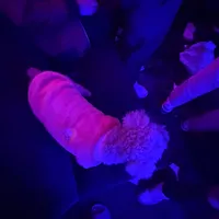 original sound - changtraibengoccayda