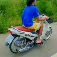 nodedongchong