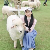 yaowamal_jib