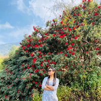 garima0088