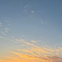 オリジナル楽曲 - Shin /しん