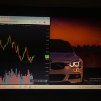 wolf_trader06