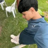 original sound - thalofox