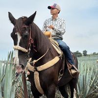 elpanchito21