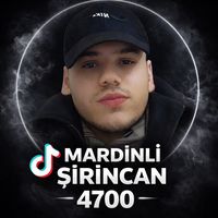 mardinli.sirincan4700