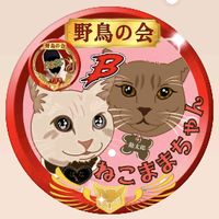 オリジナル楽曲 - 🅱️ねこままちゃん (ねこまんま)🅱️🦉🦉