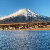 maayapreminjapan