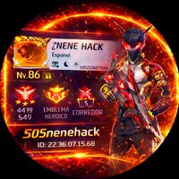 505nenehack