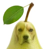 nhạc nền - Rubyy🍐✨️