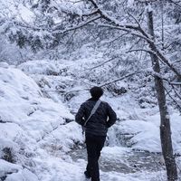 manu_mdz4